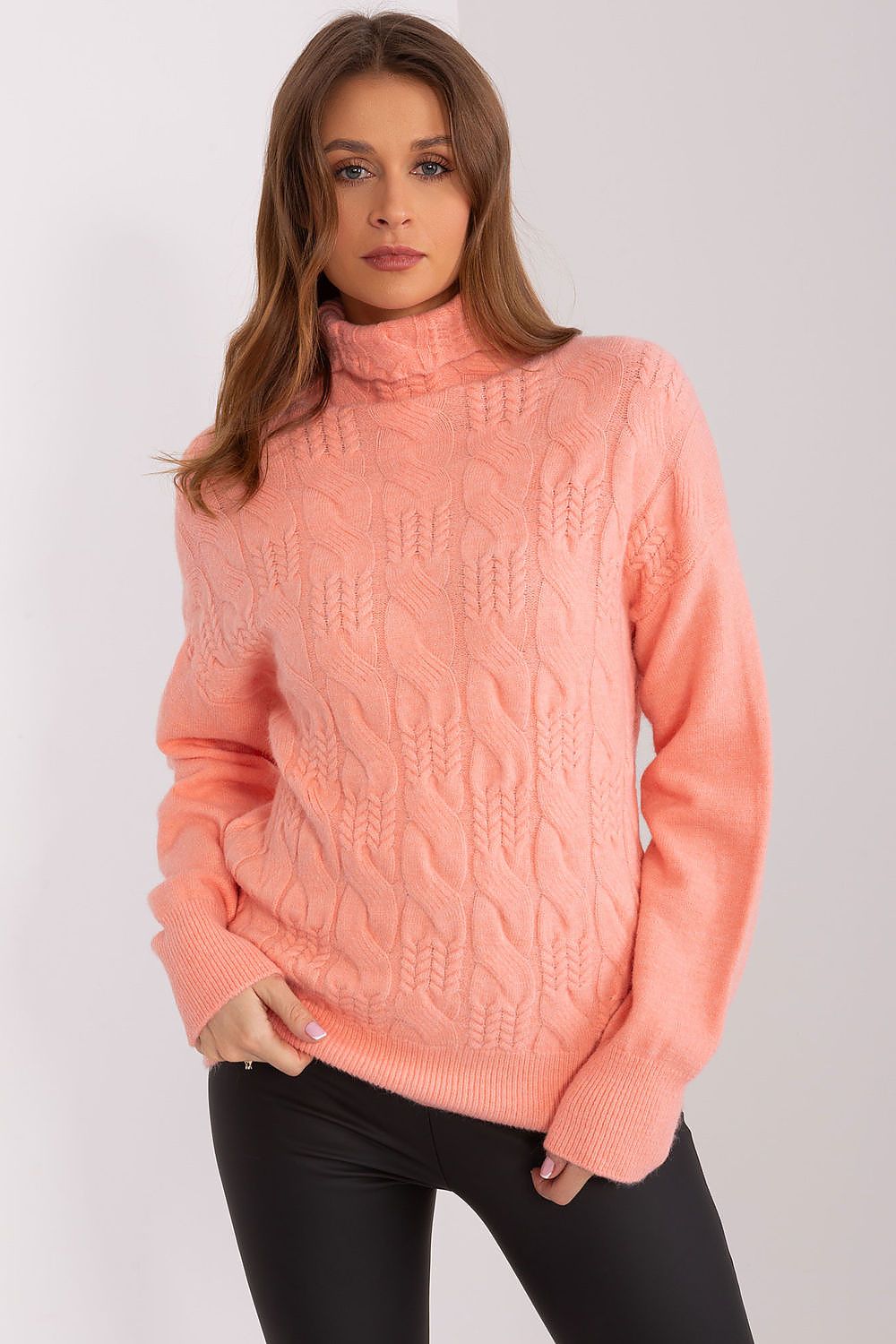  Turtleneck model 189890 AT 